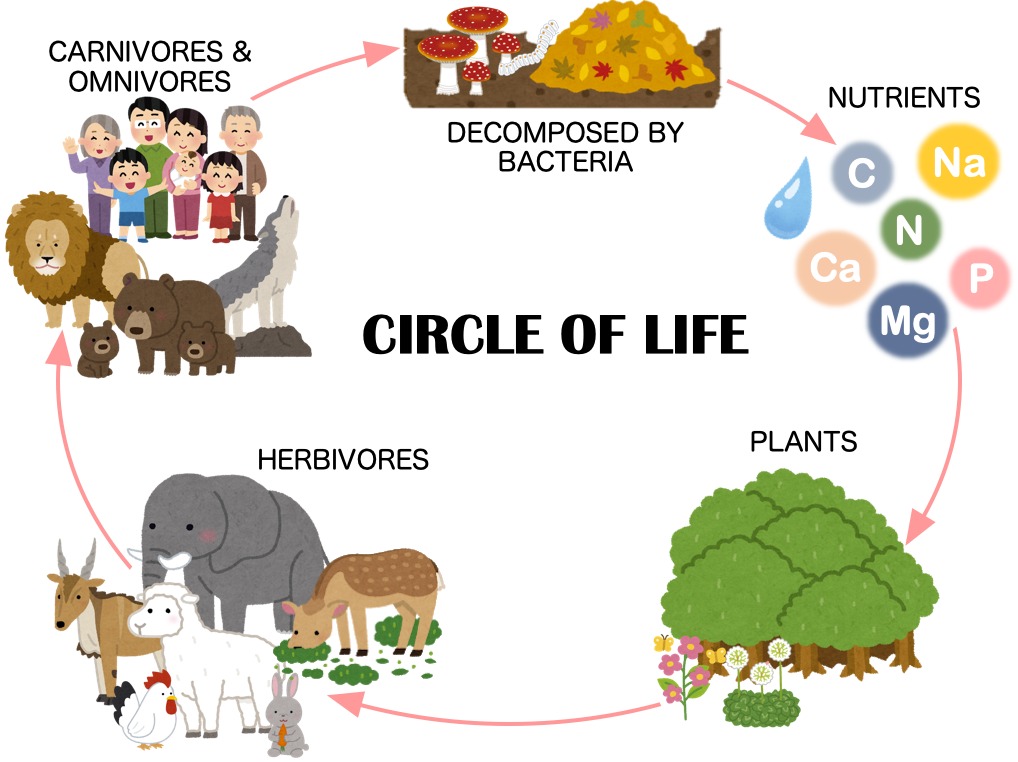 The circle of life