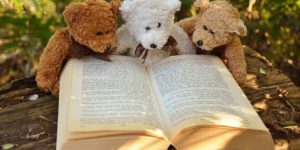 teddy-bear-and-books